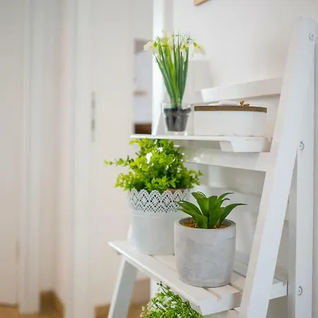 Centre Lex Apartment Split