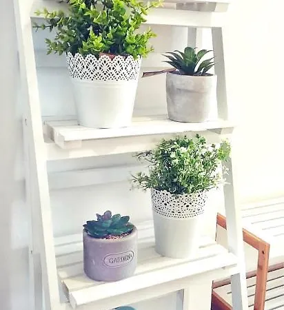 Apartament Centre Lex Split