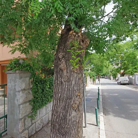 Centre Lex Сплит