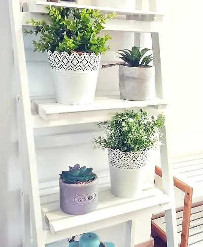 Διαμέρισμα Centre Lex Σπλιτ