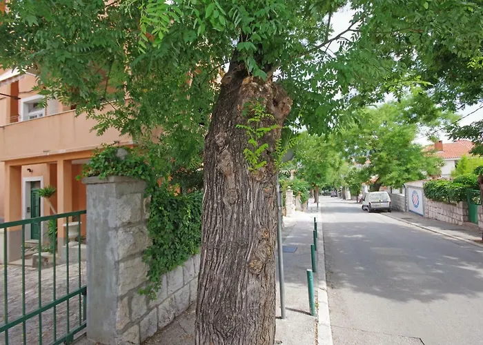 Centre Lex Σπλιτ